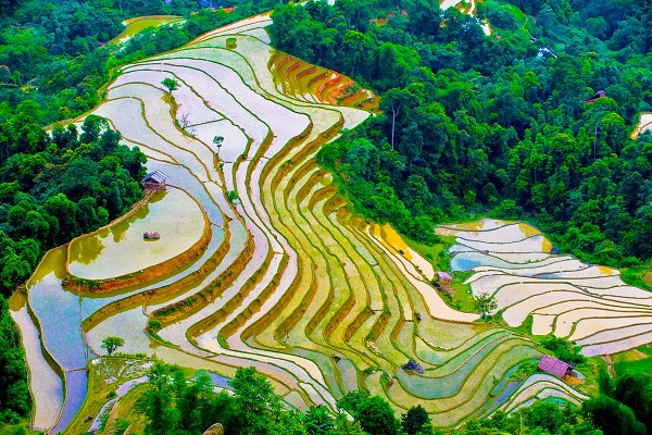 Tour du lịch Sapa 3 ngày
